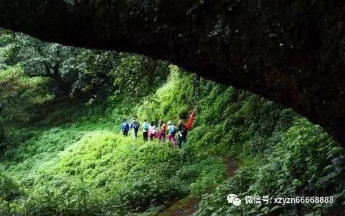 坑爹密室逃脱
