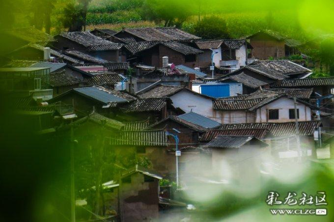 云南优车联动科技有限公司被罚款3000元