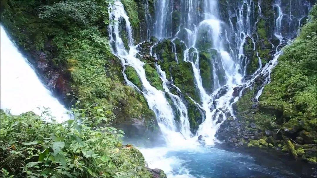 山西阳城获“中国天然氧吧”称号 擦亮绿水青山“生态名片”