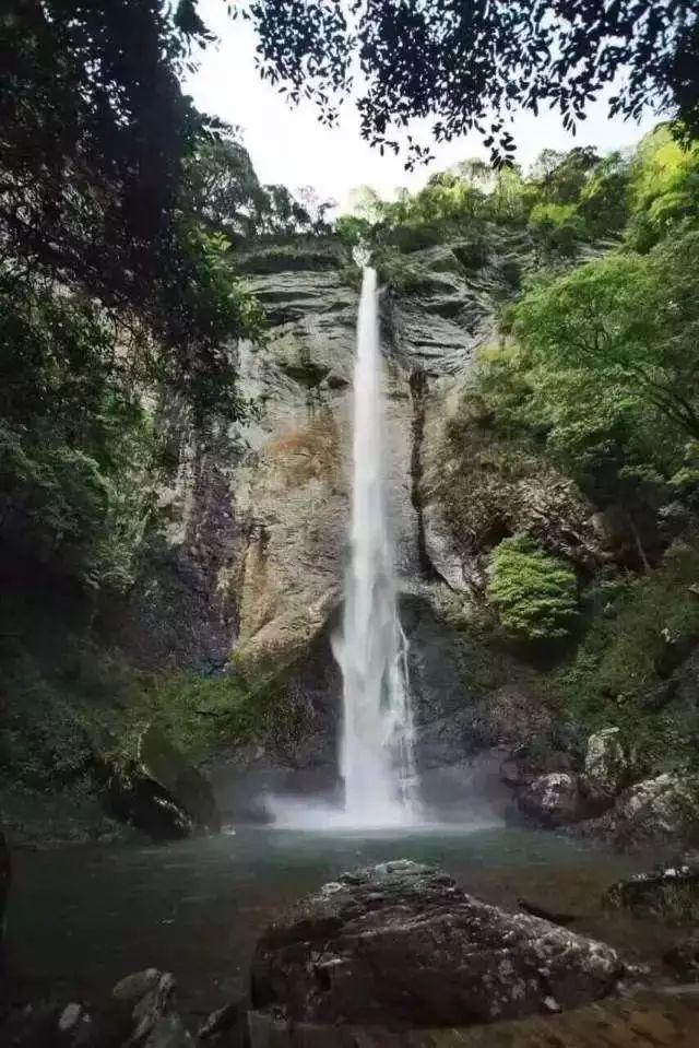 虫虫助手下载